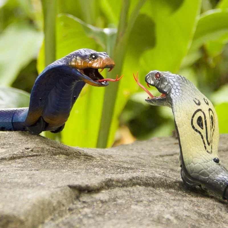 RC Snake Realistic Snake Toys  - Ir Infrared Receiver incelemesi ve fiyatı